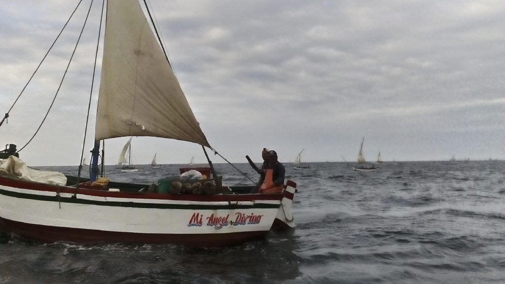 Un velero pescando en alta mar
