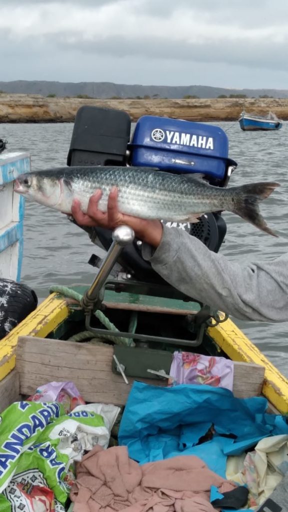 Amigos pescadores de playa blanca