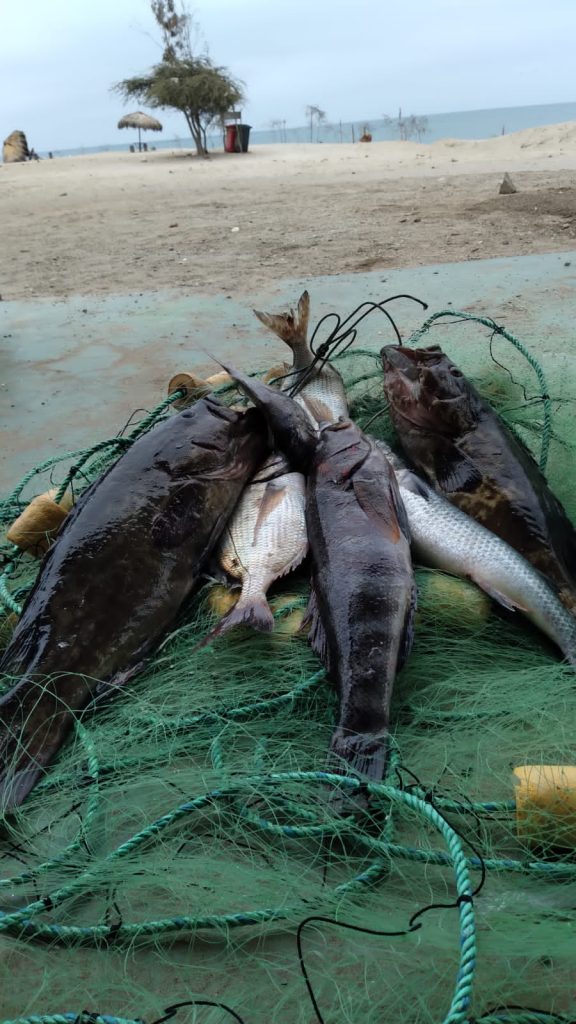 Amigos pescadores de Playa Blanca