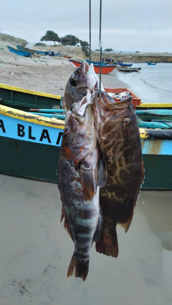 Amigos Pescadores de Playa Blanca