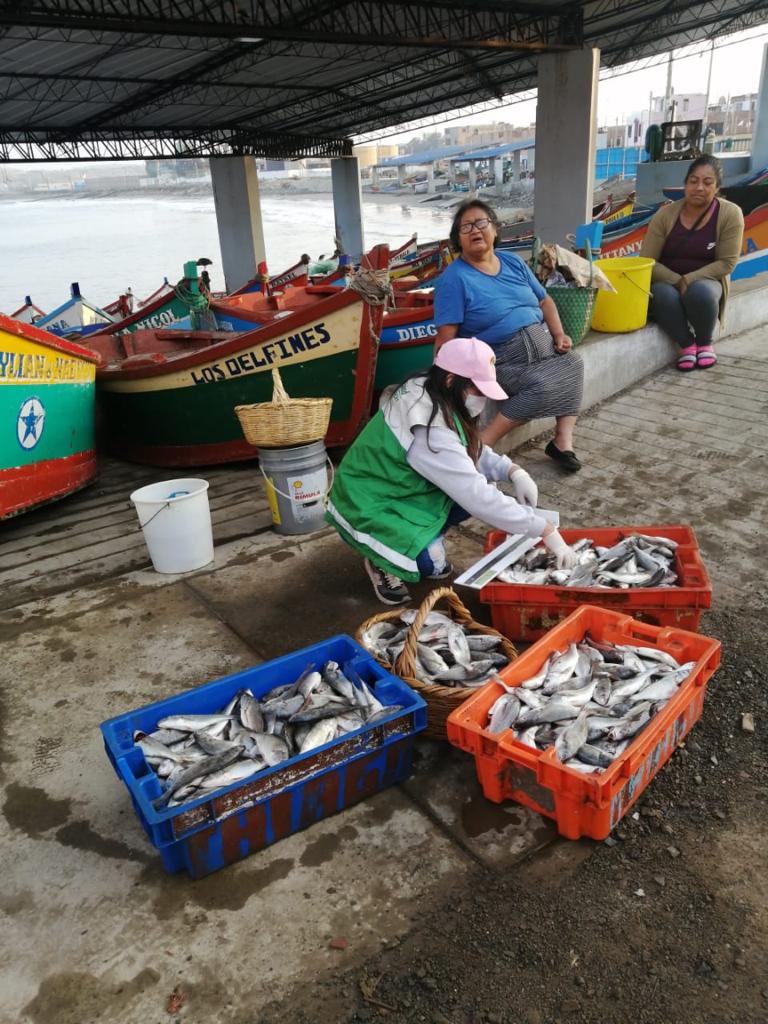 Venta en Caleta Carquin